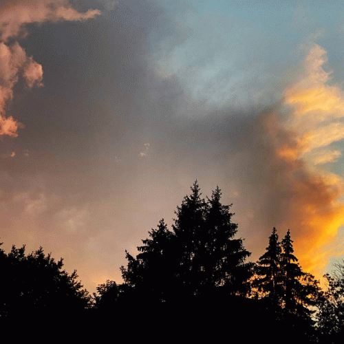 Nostalgique : Deepend Woods of Inner Being